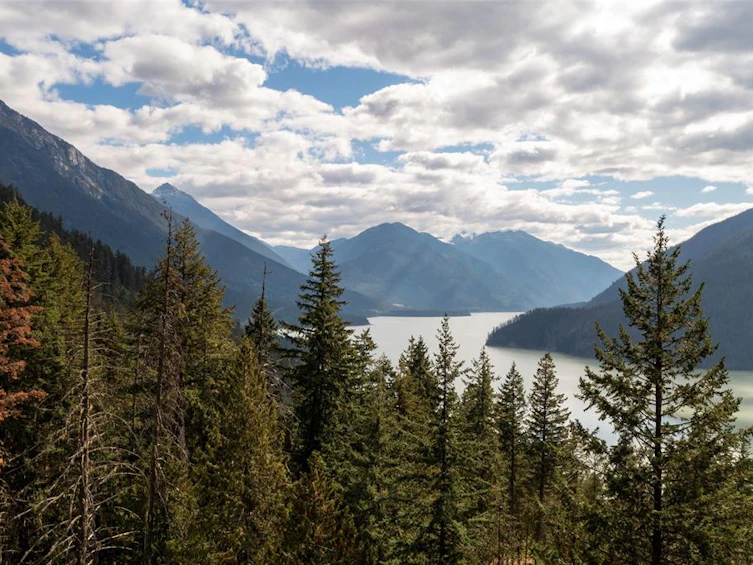 143 Lot 143 In Shuck Ch Forest Service Road, Pemberton, BC, V0N 2K2 - 17