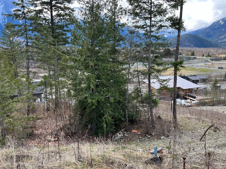 7677 Cerulean Drive, Pemberton, BC, V0N 2L3 - 4
