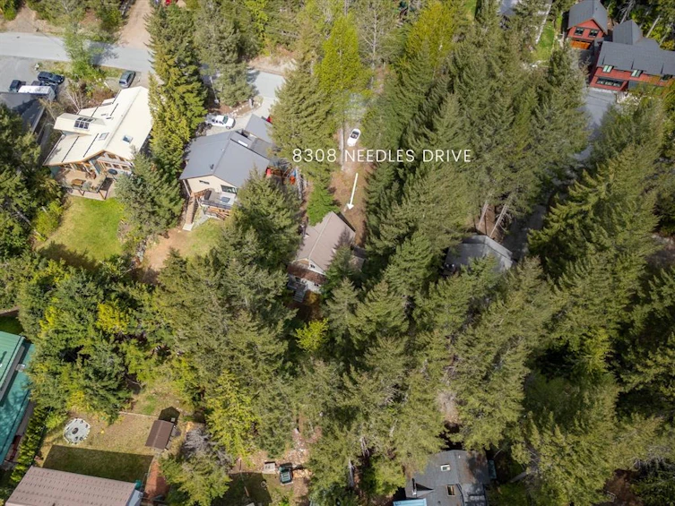 8308 Needles Drive, Whistler, BC, V8E 0G1 - 37