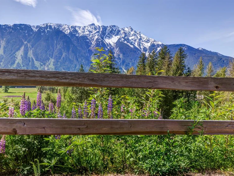 15-4000 Sunstone Way, Pemberton, BC, V0N 2L3 - 21
