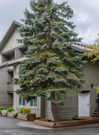 1b 2230 Eva Lake Road