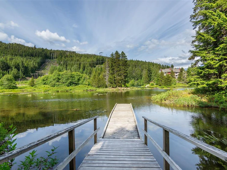 B102-1400 Alta Lake Road, Whistler, BC, V8E 0G9 - 18