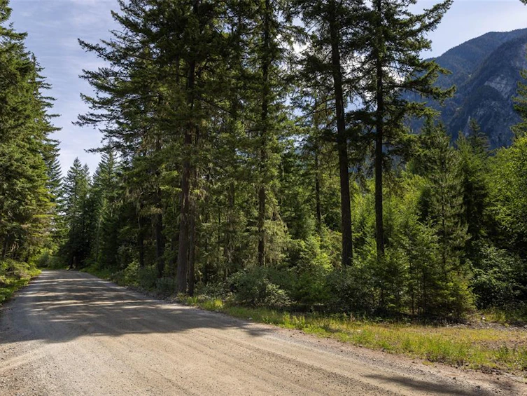 8894 Old Portage Road, Pemberton, BC, V0N 1B0 - 10