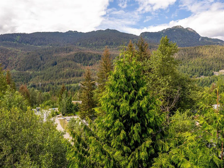 1569 Tynebridge Lane, Whistler, BC, V8E 0A3 - 19