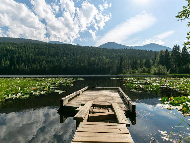 2841 Blackwater Road, Pemberton, BC, V0N 1L0 - 37