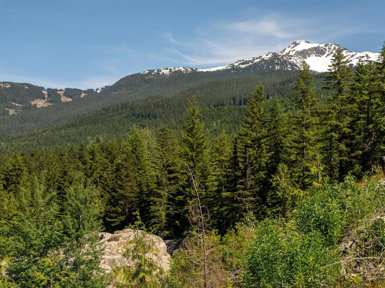 1625 Southlands Lane, Whistler, BC, V8E 0A2 - 16