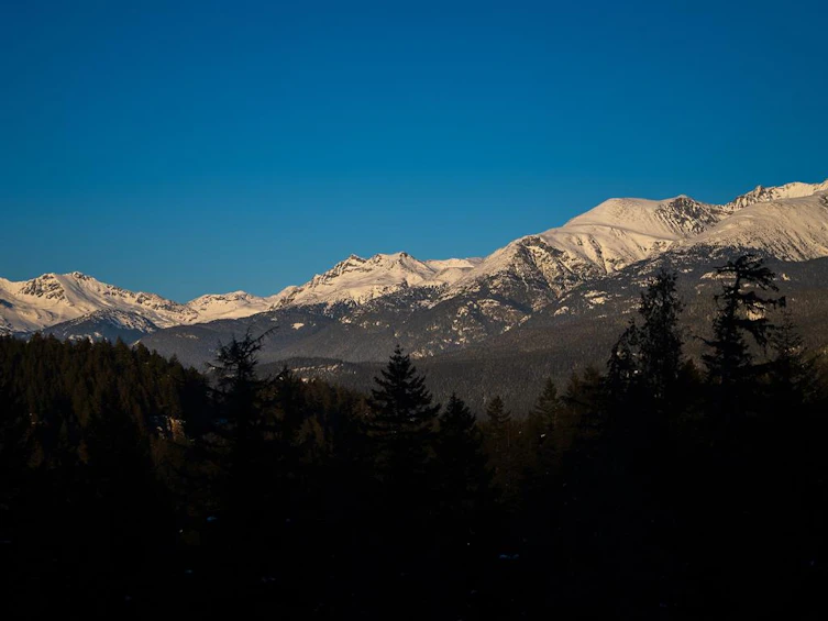 1625 Southlands Lane, Whistler, BC, V8E 0A2 - 9