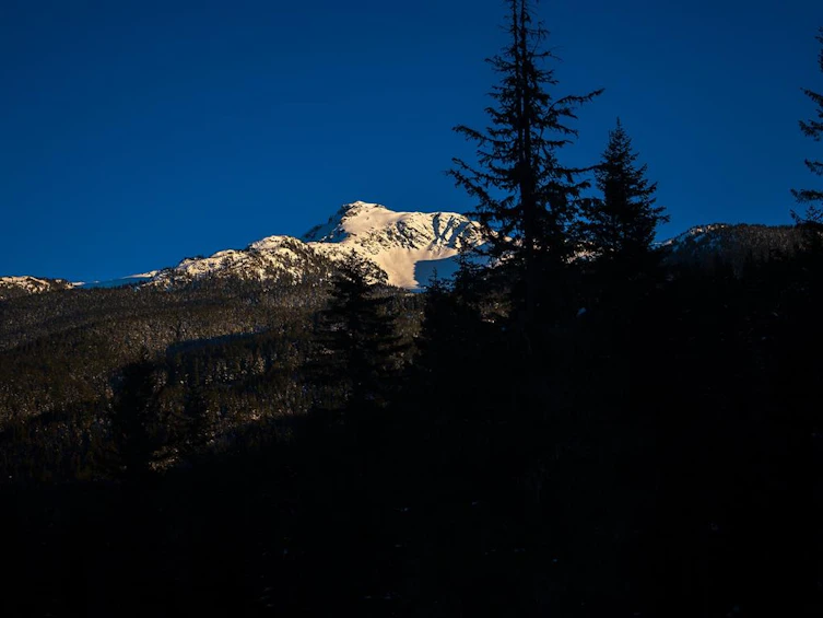 1625 Southlands Lane, Whistler, BC, V8E 0A2 - 8