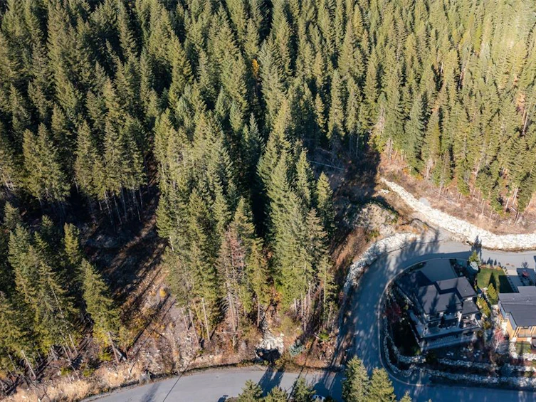 8558 Ashleigh Mcivor Drive, Whistler, BC, V8E 1L9 - 9