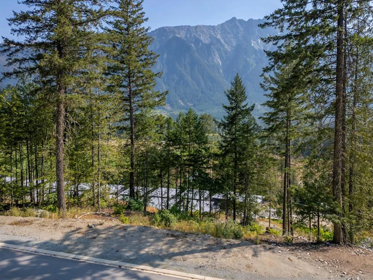 8206 Merlot Peak Drive, Pemberton, BC, V0N 2L3 - 8