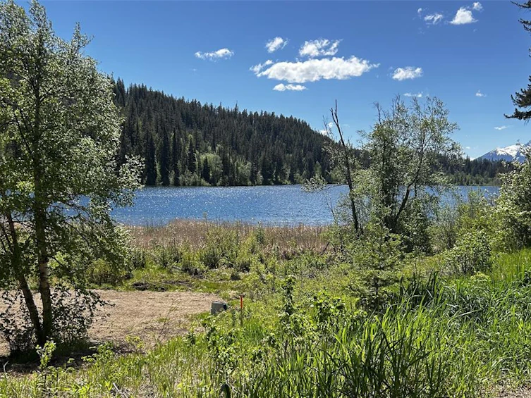 7326 Tyaughton Lake Road, Pemberton, BC, V0N 1P0 - 7