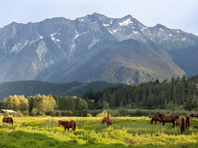 1360 Collins Road, Pemberton, BC, V0N 2L0 - 40
