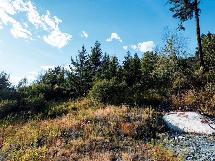 9002 Sun God Mountain Way, Pemberton, BC, V0N 2L3 - 3