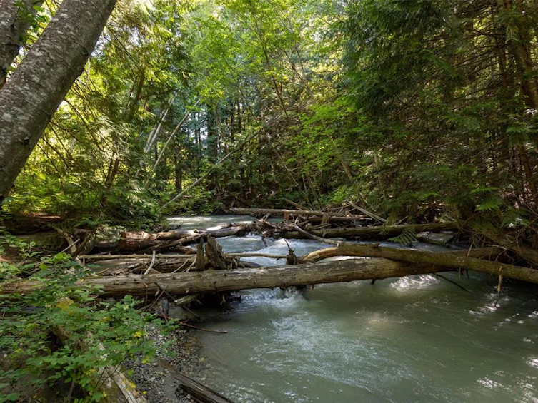 8896 Pemberton Portage Road, Pemberton, BC, V0N 2L0 - 3