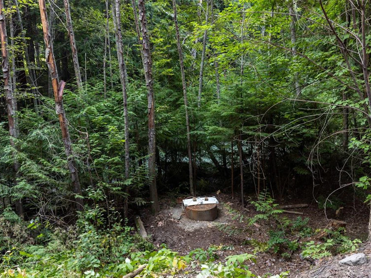 8896 Pemberton Portage Road, Pemberton, BC, V0N 2L0 - 12