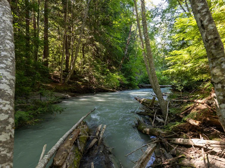 8896 Pemberton Portage Road, Pemberton, BC, V0N 2L0 - 4