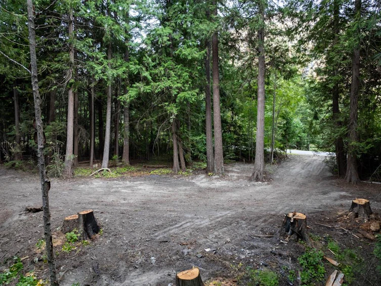 8896 Pemberton Portage Road, Pemberton, BC, V0N 2L0 - 9