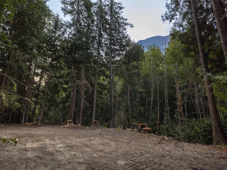 8896 Pemberton Portage Road, Pemberton, BC, V0N 2L0 - 8