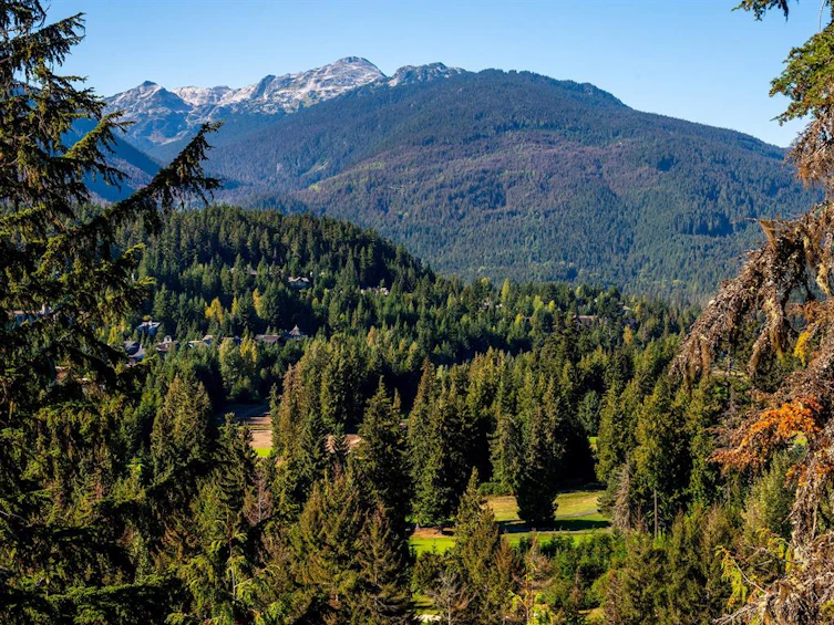 3853 Sunridge Court, Whistler, BC, V8E 0W1 - 5