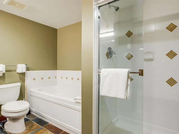 104G2-4653 Blackcomb Way, Whistler, BC, V8E 0Y9 - 19