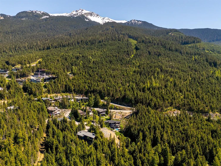 2915 Heritage Peaks Trail, Whistler, BC, V8E 0L6 - 11