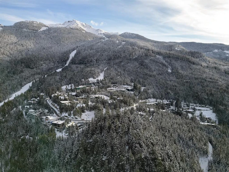 2915 Heritage Peaks Trail, Whistler, BC, V8E 0L6 - 3
