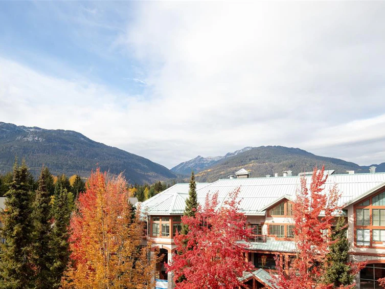 419-4369 Main Street, Whistler, BC, V8E 1B7 - 9