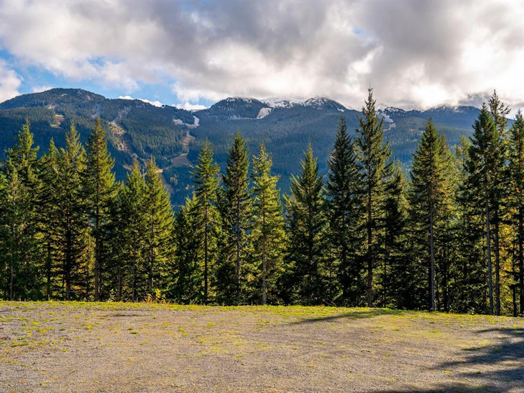5408 Stonebridge Drive, Whistler, BC, V8E 0V9 - 15