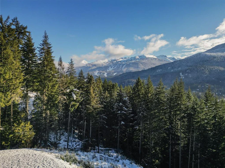 5408 Stonebridge Drive, Whistler, BC, V8E 0V9 - 2