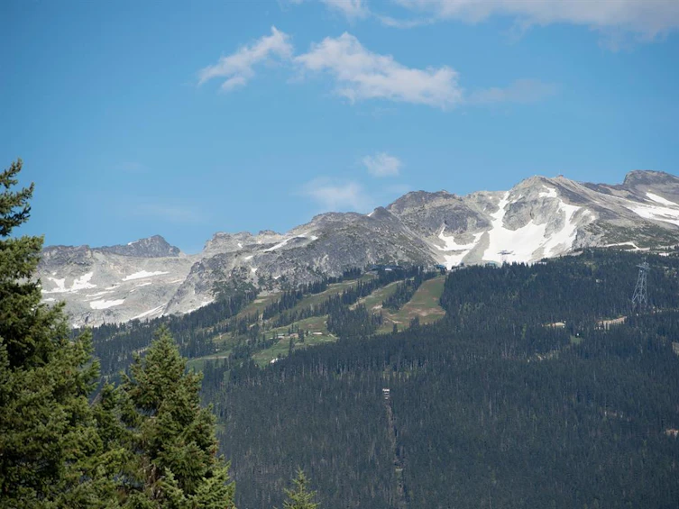 5408 Stonebridge Drive, Whistler, BC, V8E 0V9 - 6