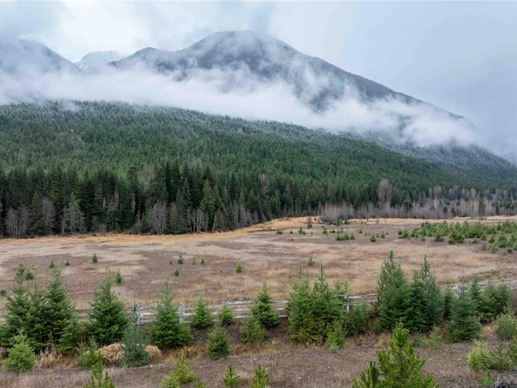 2690 Blackwater Road, Pemberton, BC, V0N 1L0 - 6
