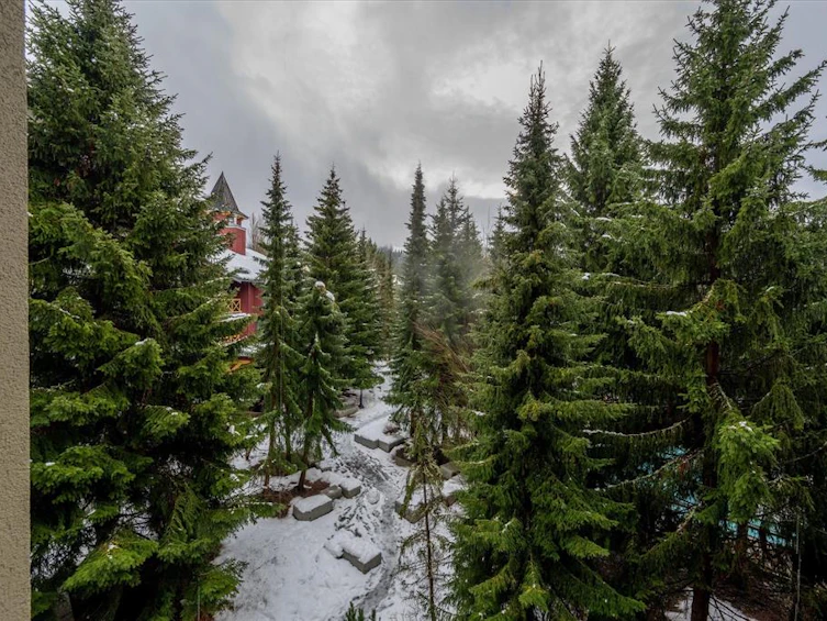 1409-4308 Main Street, Whistler, BC, V8E 1A9 - 8