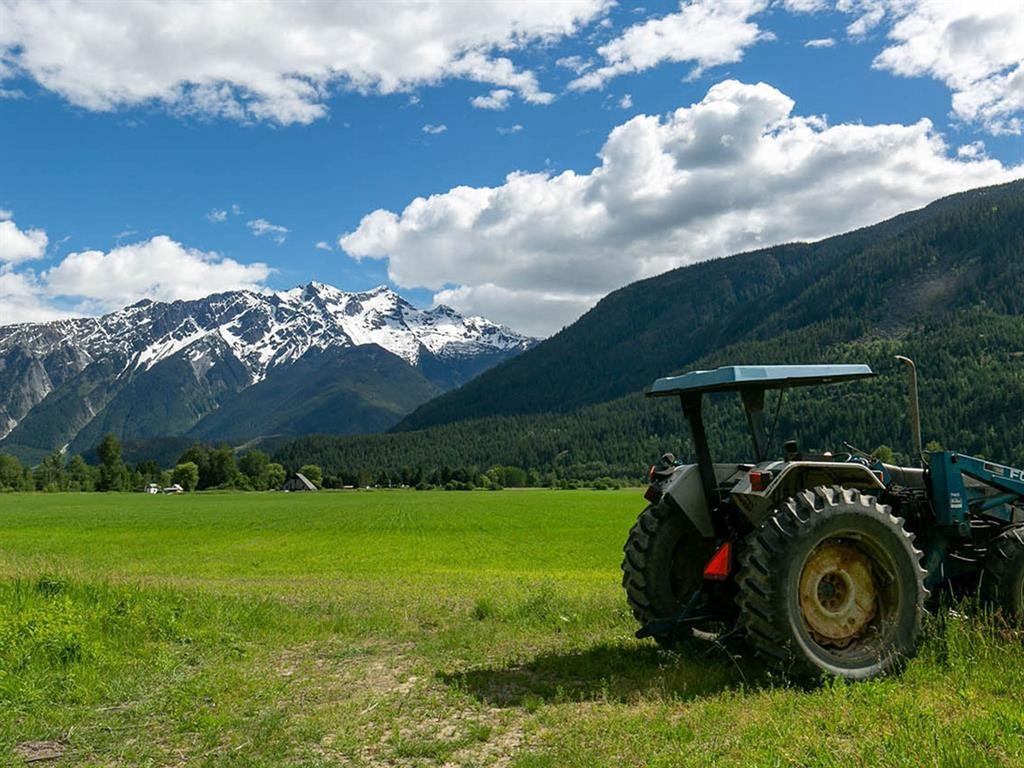 7631 Pemberton Meadows Road, Pemberton, BC, V0N 2L2 - 8