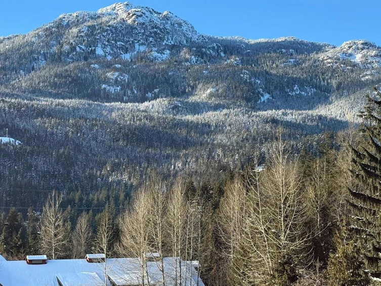 308D-2020 London Lane, Whistler, BC, V8E 0B6 - 26