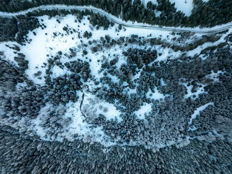 2730 Blackwater Road, Pemberton, BC, V0N 1L0 - 13