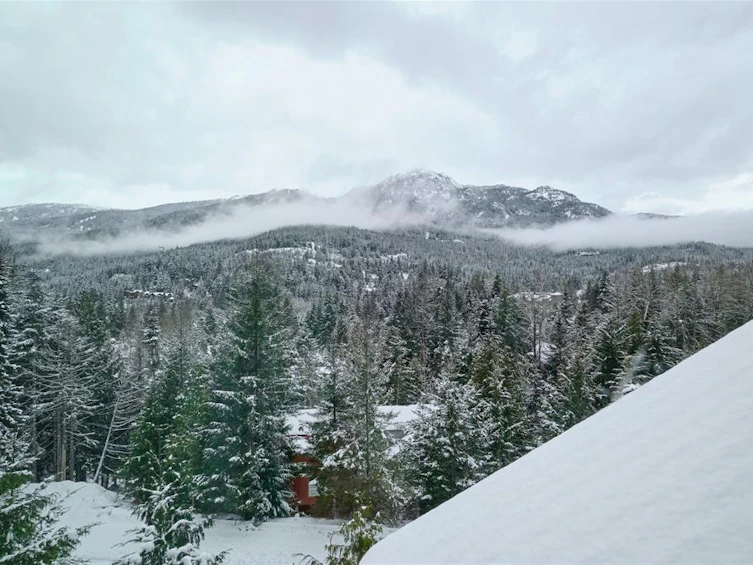4-2170 Sarajevo Drive, Whistler, BC, V8E 0B5 - 6