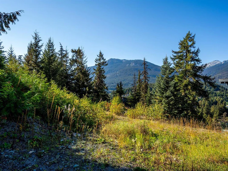 3853 Sunridge Court, Whistler, BC, V8E 0W1 - 8