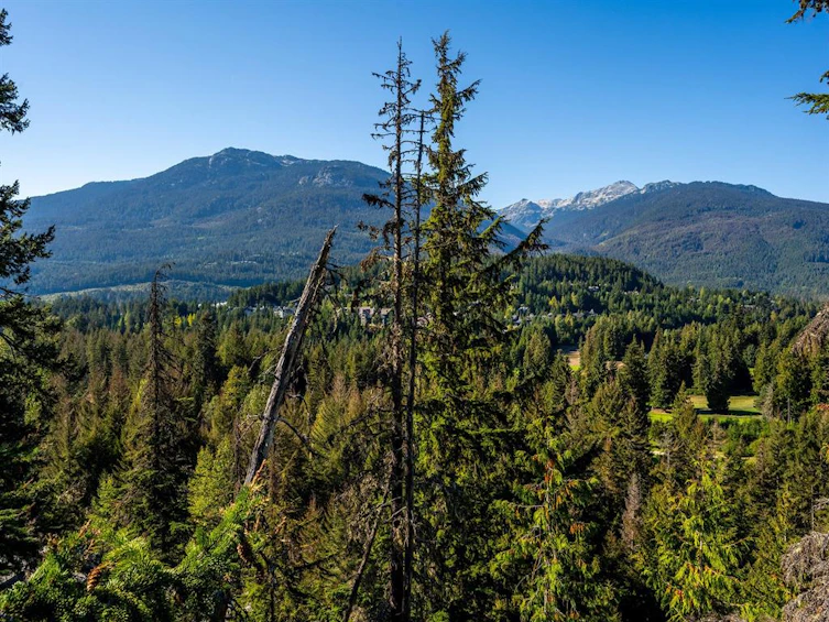 3853 Sunridge Court, Whistler, BC, V8E 0W1 - 16