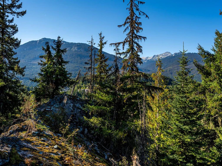 3853 Sunridge Court, Whistler, BC, V8E 0W1 - 9