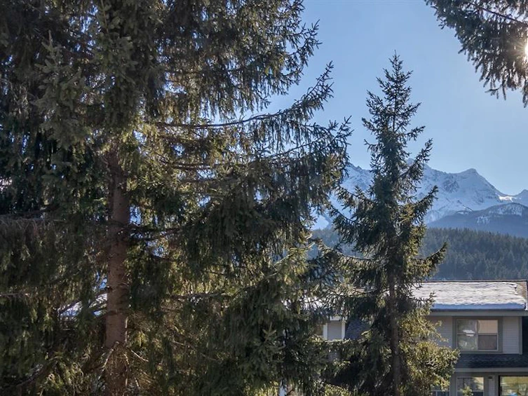13-1470 Laurel Street, Pemberton, BC, V0N 2L1 - 31