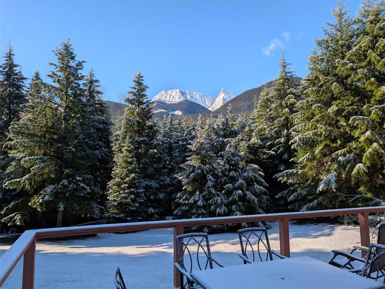 2873 Blackwater Road, Pemberton, BC - 32