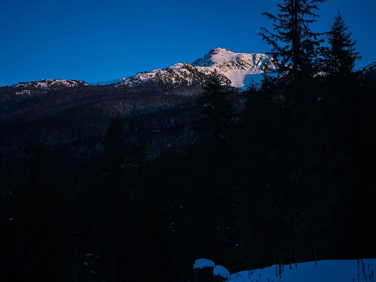 1625 Southlands Lane, Whistler, BC, V8E 0A2 - 11