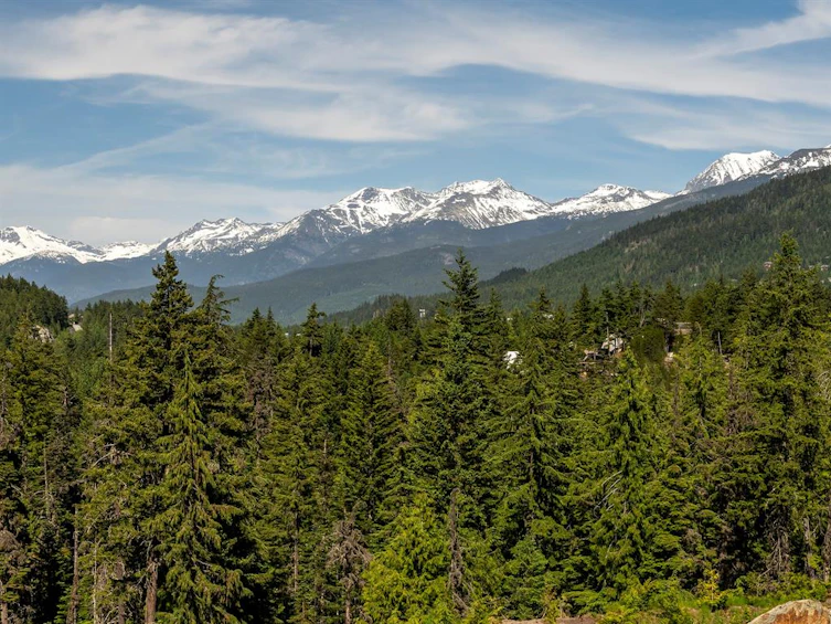 1625 Southlands Lane, Whistler, BC, V8E 0A2 - 15