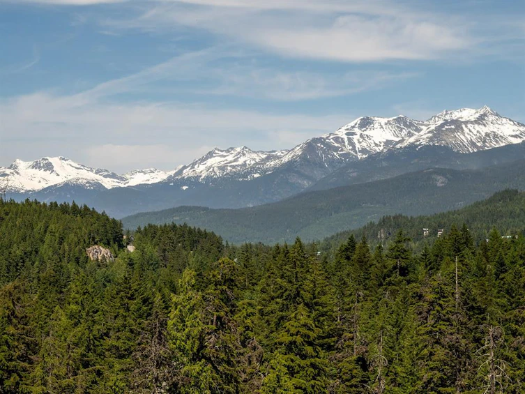 1625 Southlands Lane, Whistler, BC, V8E 0A2 - 12
