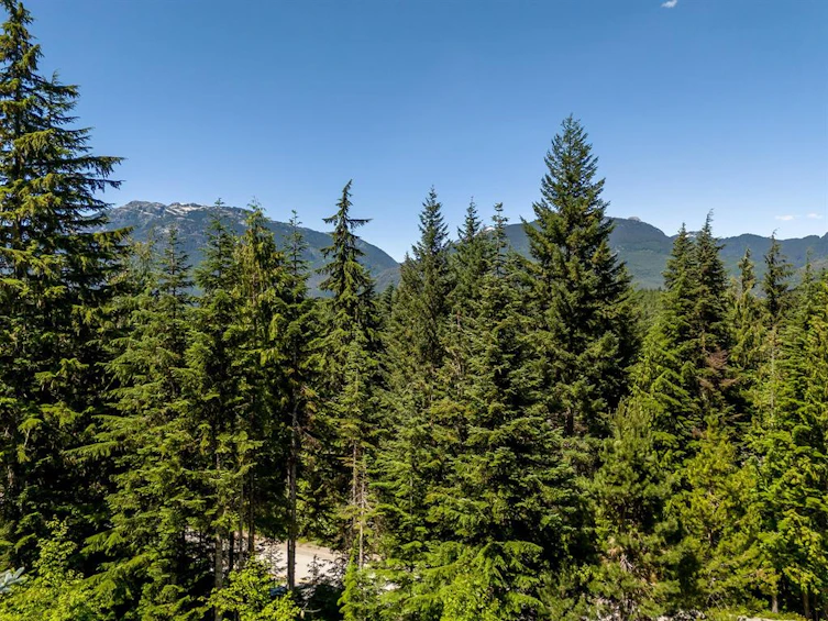4673 Blackcomb Way, Whistler, BC, V8E 0Z3 - 25