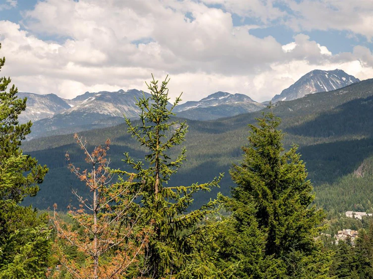 3220 Peak Drive, Whistler, BC, V8E 0V4 - 17