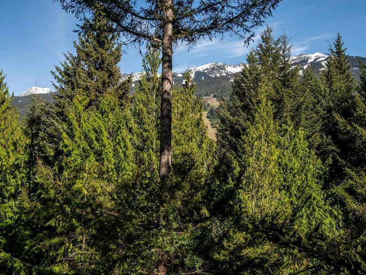23-6127 Eagle Ridge Crescent, Whistler, BC, V8E 0W7 - 10