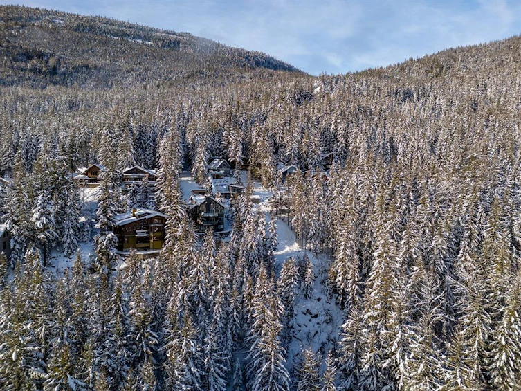 8377 Mountain View Drive, Whistler, BC, V8E 0G3 - 10