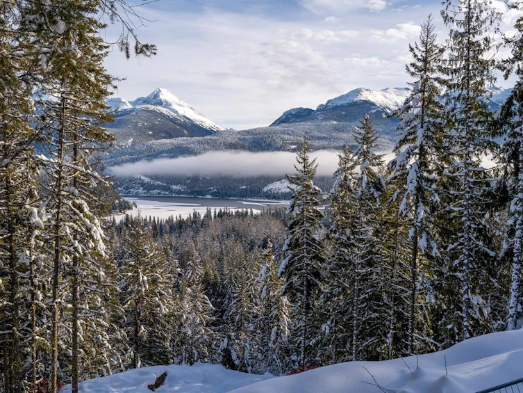 8377 Mountain View Drive, Whistler, BC, V8E 0G3 - 13