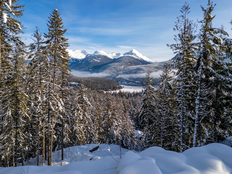 8377 Mountain View Drive, Whistler, BC, V8E 0G3 - 5